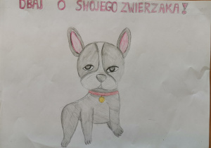 Natalia Wojciechowska i Julia Kaszewska z kl. 6 a Praca przedstawia sylwetkę psa, a napis głosi „Dbaj o swojego zwierzaka!”.